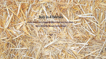 Hay is 4 Horses WebSite